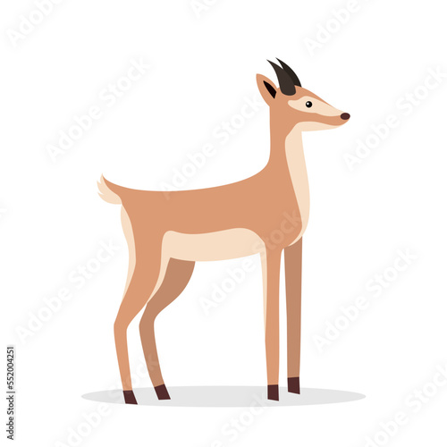 Roe deer looking forward, side view
