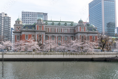 満開の桜の中に立つ大阪市中央公会堂