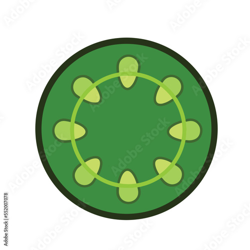 Green Dicotyl Stem vector ilustration isolated on white background. Biology and plant themed pictogram drawing with cartoon simple flat art style. Modern and clean drawing.