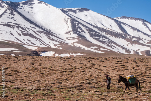 Foto Berber muleteer and his mule in front of Aslad peak, 3878 meters, Plateau de Tar