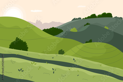 Agriculture tea leaf field landscape. Asian farm land with crop hills. Vietnamese plantation panorama with sky, green bushes terraces. Color flat vector illustration of rural scenery