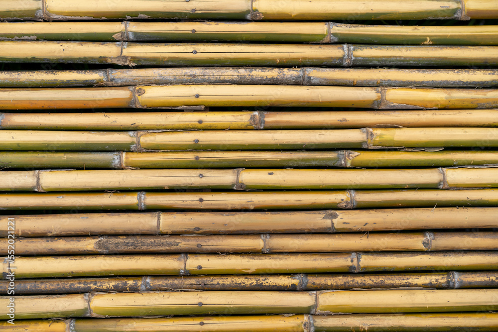 Bamboo fence wall texture background. Bamboo fence wall texture background.
