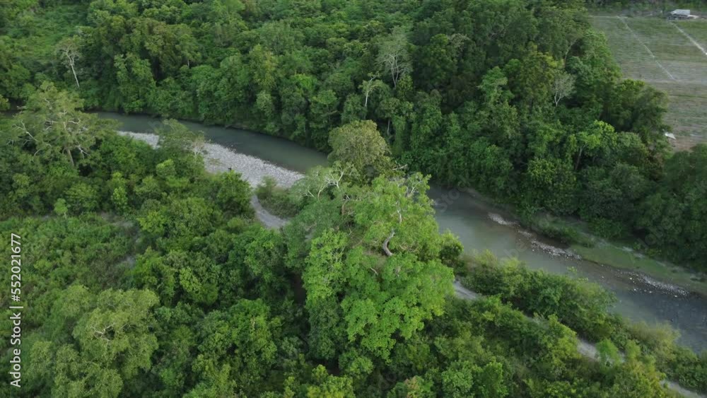 Drone orbit shot of a lush green tree beside a flowing river, showcasing vibrant foliage and serene water in a dynamic view. Drone orbit shot of a lush green tree beside a flowing river, showcasing vibrant foliage and serene water in a dynamic view.