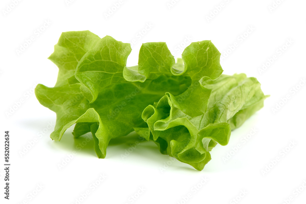 Lettuce Salad leaves, isolated on white background. Lettuce Salad leaves, isolated on white background.