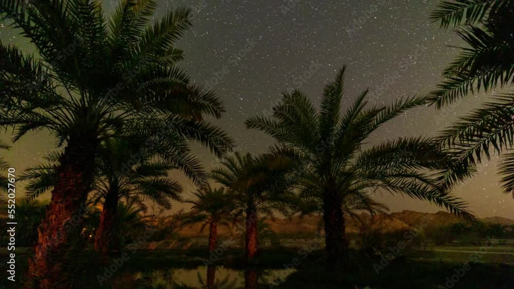 The movement of the stars over the palm grove in the southeast of Iran, Baluchestan . Water between trees is for rice, farmers plant rice between gardens.