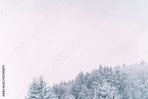 Beautiful frozen landscape covered with snow, useful as a background for posters, postcards,banners, winter is coming