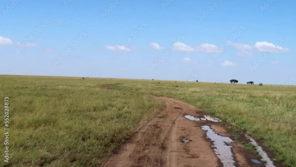Exploration shot driving through the African savannah,.Serengeti, Tz Exploration shot driving through the African savannah,.Serengeti, Tz