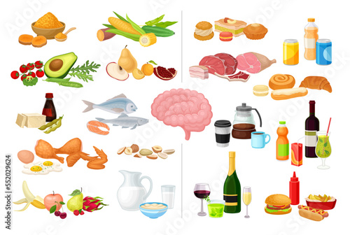 Healthy and Bad Food for Brain Infographic Elements Big Vector Set