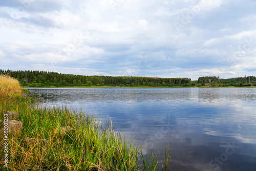 Hirschler pond near Clausthal-Zellerfeld in the Harz Mountains. Landscape with a small lake and idyllic nature. 