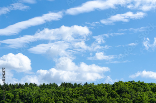 Rural landscape with green forest  blue sky and clouds