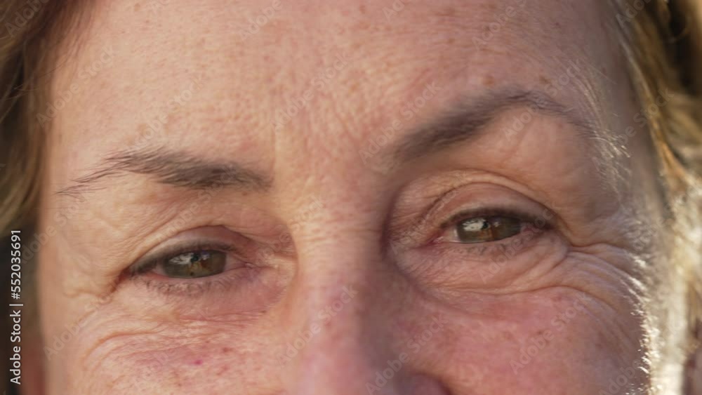 One Senior Woman Close Up Macro Face of Eyes Looking at Camera. Wrinkled Female Person Older Female Person With Happy Expression One Senior Woman Close Up Macro Face of Eyes Looking at Camera. Wrinkled Female Person Older Female Person With Happy Expression