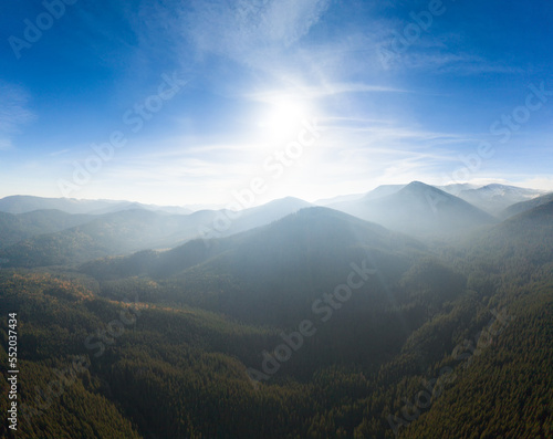 Wonderful autumn forest top view. Abstract natural background.