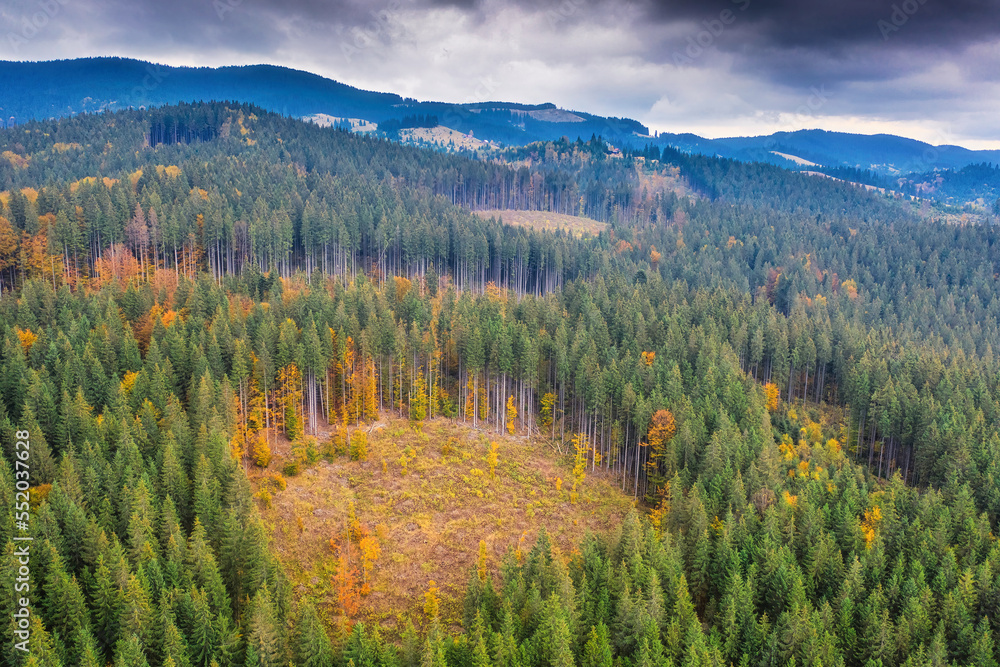 Destruction of the forest cover high in the mountains of Ukraine.