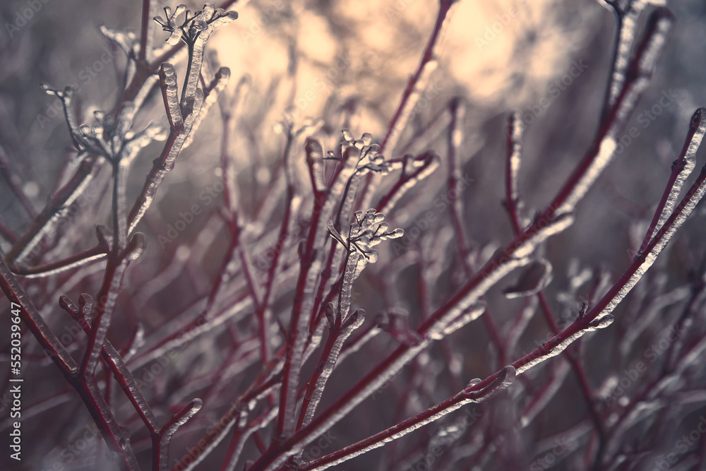 Obraz premium Frozen Drems