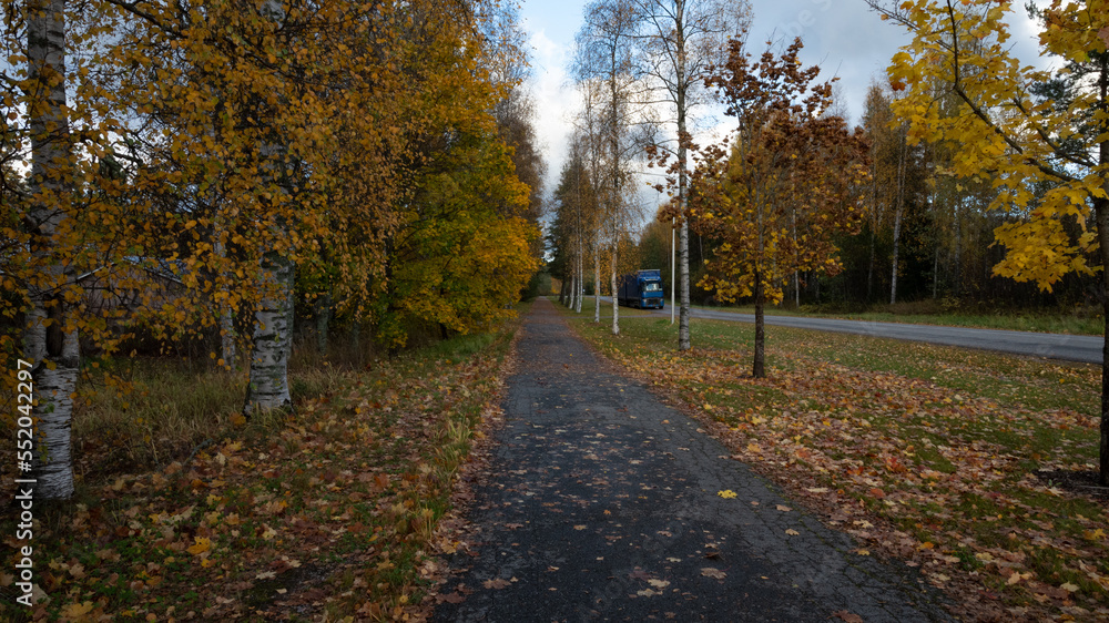 Obraz premium sidewalk in autumn