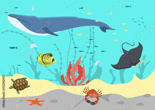 Fototapeta Naklejka Na Ścianę i Meble -  Sea water, ocean fish concept, vector illustration, underwater marine, animal life in tropical reef nature, whale, stingray, crab and turtle.