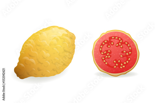Whole and sliced yellow Guava fruit vector illustration.