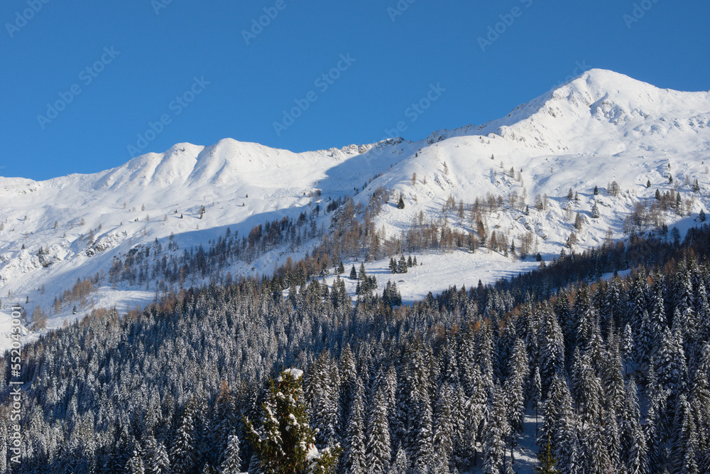 snowy Alps - winter landscape