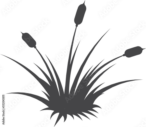 Bulrush silhouette. Wetland natural plant black icon
