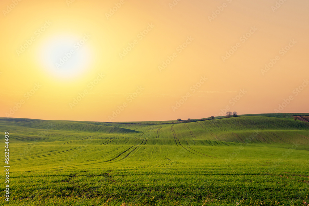kyjov, moravia, czech republic, czech, field, sky, landscape, grass, meadow, nature, green, sun, summer, sunrise, agriculture, sunlight, country, rural, farm, countryside, spring, horizon, light, beau