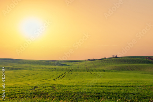 kyjov, moravia, czech republic, czech, field, sky, landscape, grass, meadow, nature, green, sun, summer, sunrise, agriculture, sunlight, country, rural, farm, countryside, spring, horizon, light, beau