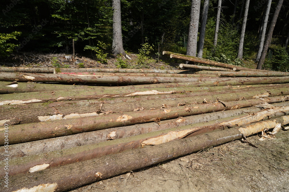 Forest dieback due to climate change, drought and storms and deforestation Forest dieback due to climate change, drought and storms and deforestation