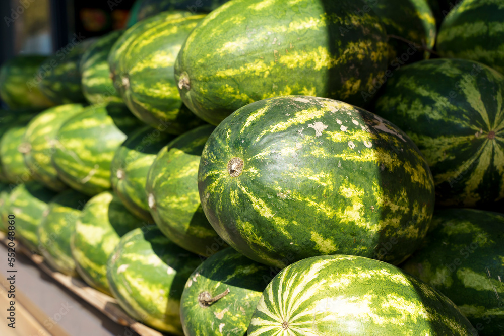 Watermelons on the market. Ripe green fresh watermelons on the counter of an eco farmer's market Watermelons on the market. Ripe green fresh watermelons on the counter of an eco farmer's market