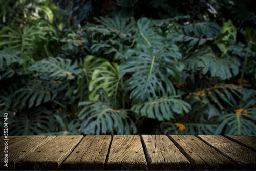 Jungle table background. Rustic wooden table against the backdrop of tropical plants  palms and jungle. 