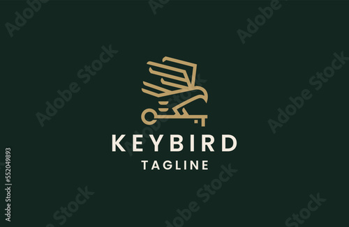 Eagle key bird logo icon design  template flat vector