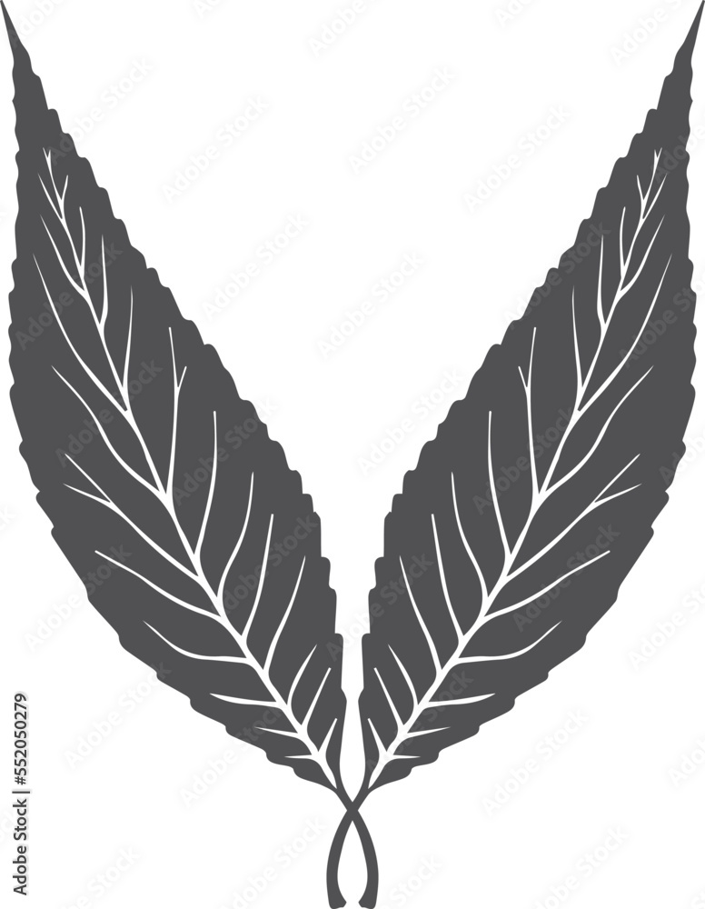 Leaf icon, abstract leaves icon on white background Leaf icon, abstract leaves icon on white background