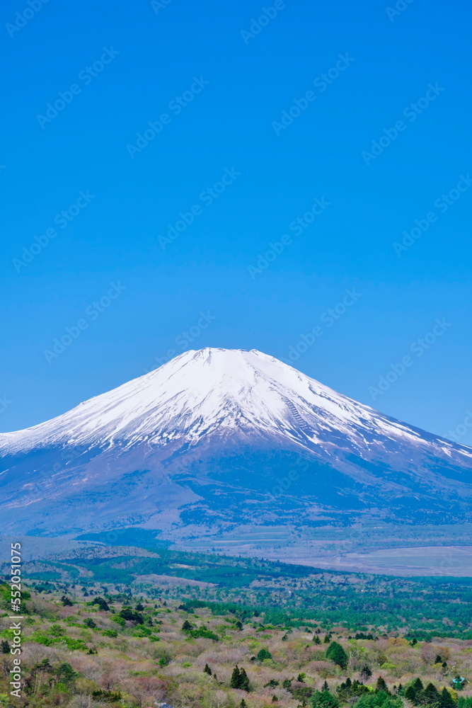 Naklejka premium 富士山 平原