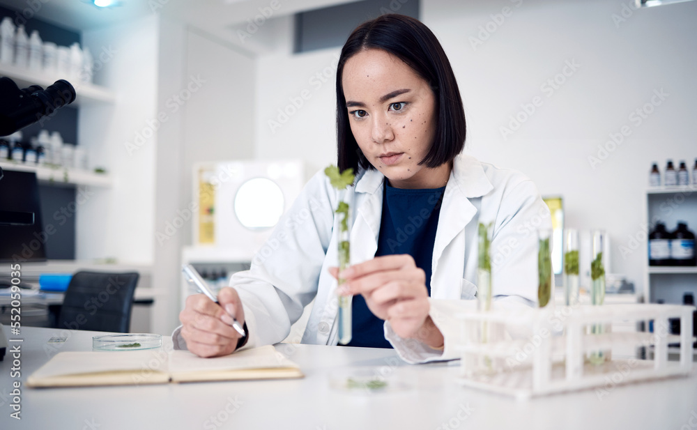 Plant, science and test tube with a woman botanist working on a scientific breakthrough in the lab. Laboratory, botany and ecology experiment with herbal medicine and innovation using plants
