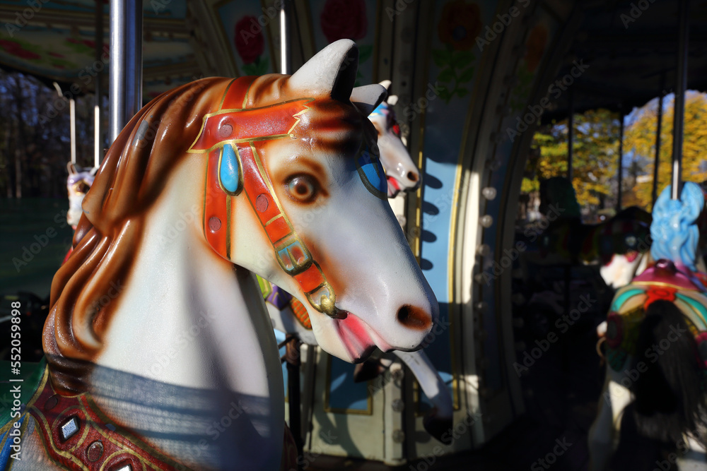 a merry-go-round horse