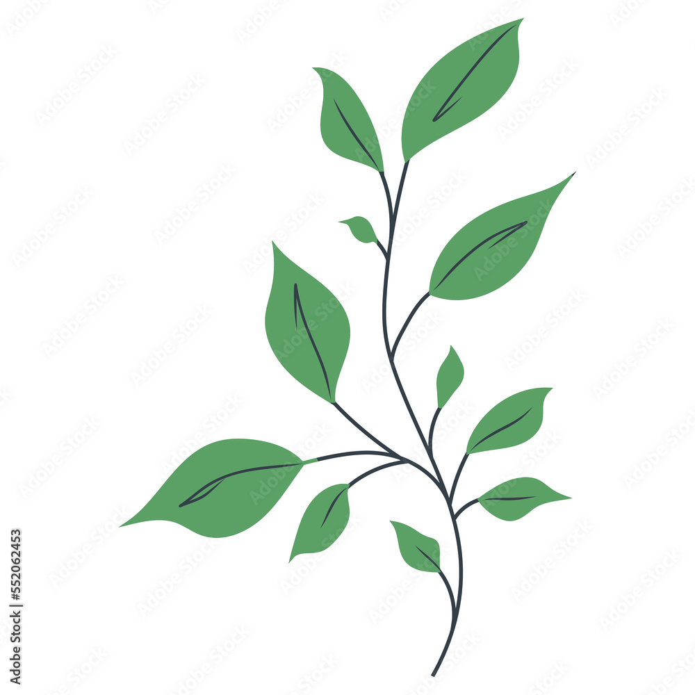 Christmas decoration light green branch leaf. Elements for your design, Seamless holly leaf with flowers, spruce branches, leaves and berries. Christmas decoration vector illustrations.