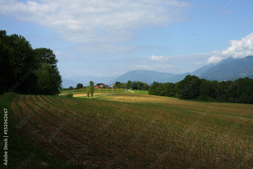 Road near Villiago and Sedico, Belluno province Road near Villiago and Sedico, Belluno province