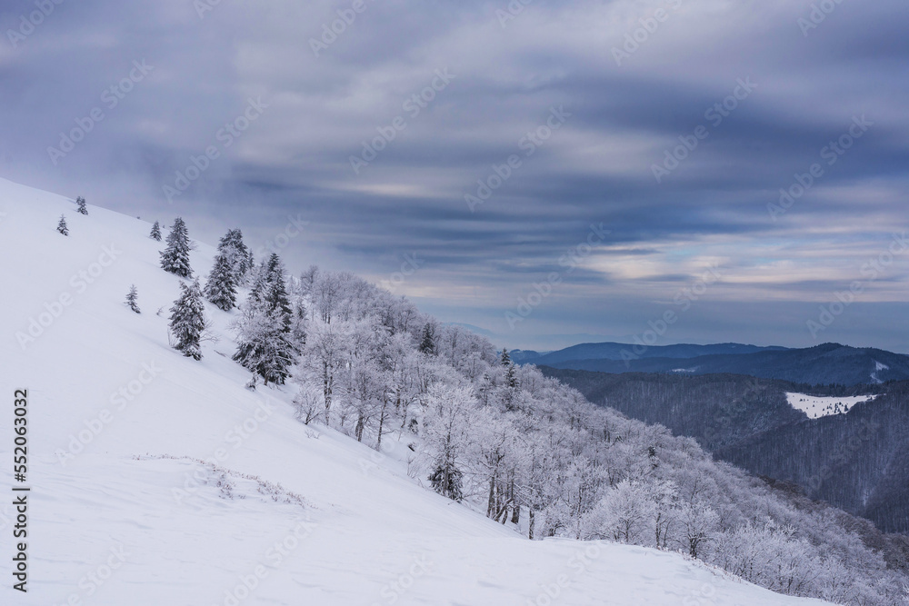 Mountain slopes covered with trees. Winter mountain landscape.