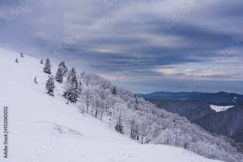 Mountain slopes covered with trees. Winter mountain landscape. © Oleksiy