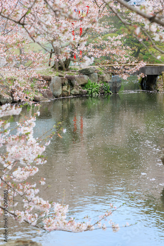 小城公園の桜祭り「佐賀県」