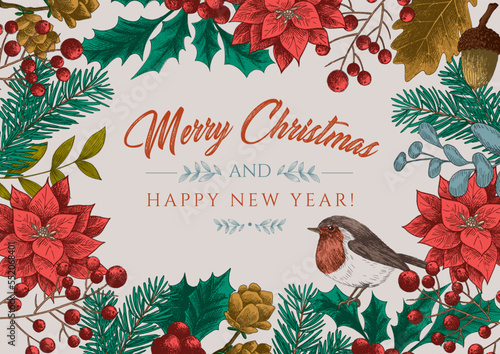 Christmas celebration template. Hand drawing plant, holly, robin bird, acorn, pine tree, poinsettia flower, decoration and red beans branch illustration.