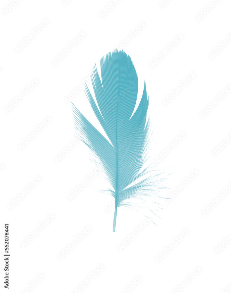 feather color turquoise emerald green on white background