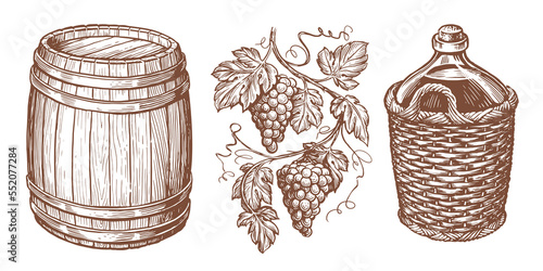 Wine drink sketch. Wooden barrel, vine, bottle in wicker basket, grapevine. Winery concept. Vintage vector illustration