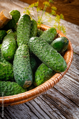 Fresh cucumbers from your home garden.