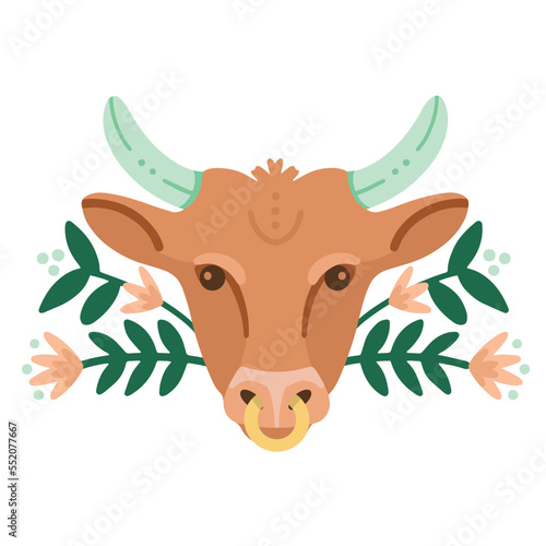 Front view  head shot of bull with gold nose ring. Floral border. Bull with horns. Steer. Heifer. Use for logos. Flat vector eps.