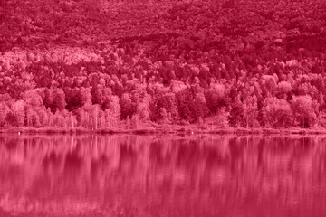 Foto auf Acrylglas Pantone 2023 Viva Magenta Trendy Color of the year 2023: Viva Magenta toned reflections of the Manjerokskoe lake  © olinchuk