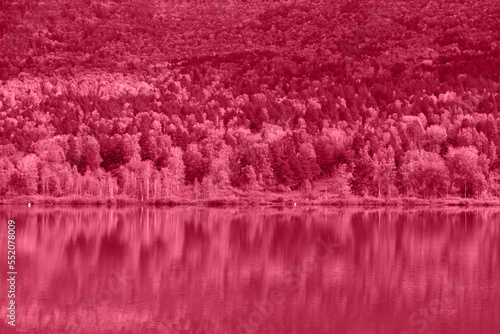 Trendy Color of the year 2023: Viva Magenta toned reflections of the Manjerokskoe lake