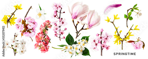 Photographie Different spring flowers blossom set