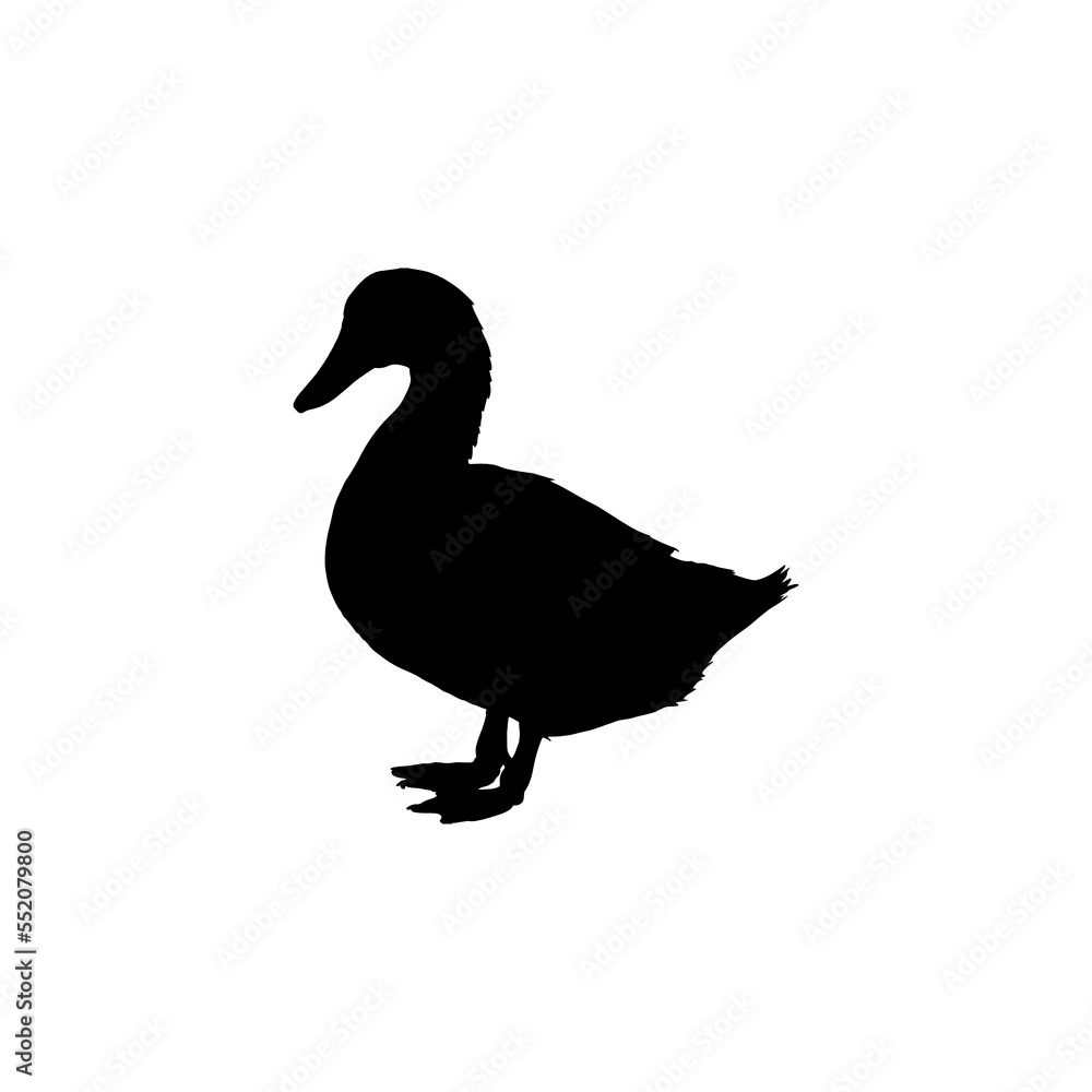 Duck icon. Simple style zoological garden ticket big sale poster background symbol. Duck brand logo design element. Duck t-shirt printing. vector for sticker. Duck icon. Simple style zoological garden ticket big sale poster background symbol. Duck brand logo design element. Duck t-shirt printing. vector for sticker.