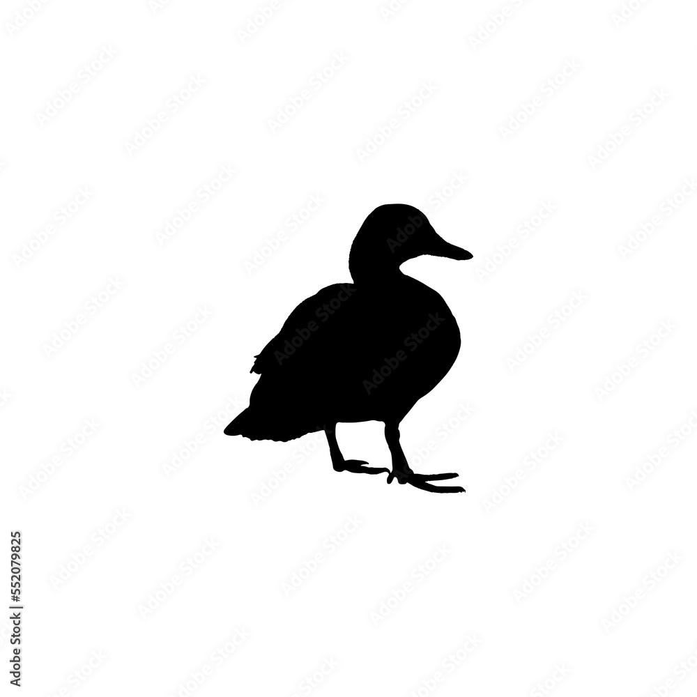 Duck icon. Simple style zoological garden ticket big sale poster background symbol. Duck brand logo design element. Duck t-shirt printing. vector for sticker. Duck icon. Simple style zoological garden ticket big sale poster background symbol. Duck brand logo design element. Duck t-shirt printing. vector for sticker.