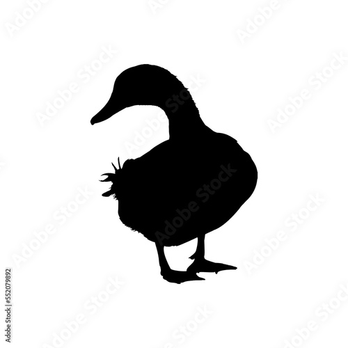 Duck icon. Simple style zoological garden ticket big sale poster background symbol. Duck brand logo design element. Duck t-shirt printing. vector for sticker.