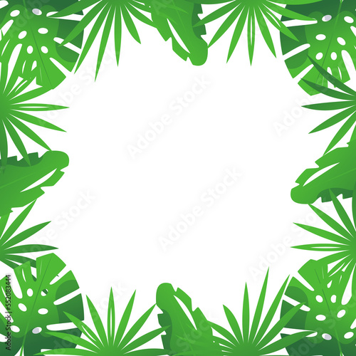 Tropical leaves, plant and nature illustration